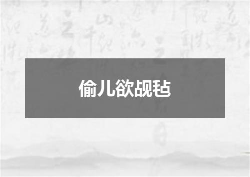 偷儿欲觇毡