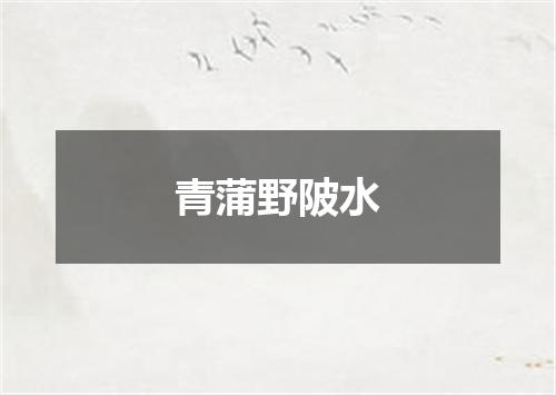 青蒲野陂水