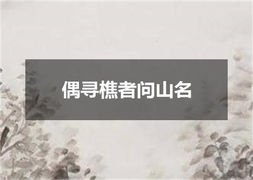偶寻樵者问山名