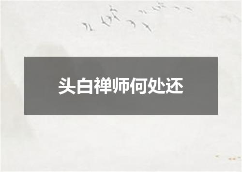 头白禅师何处还