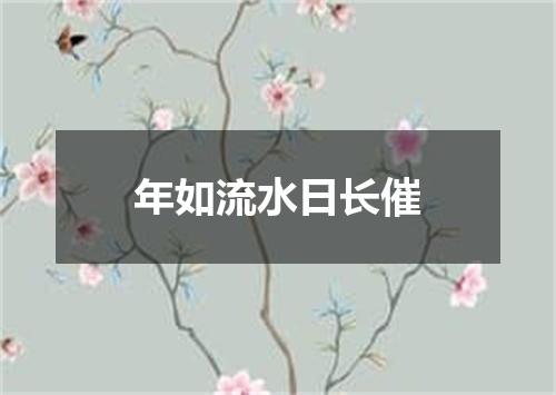 年如流水日长催