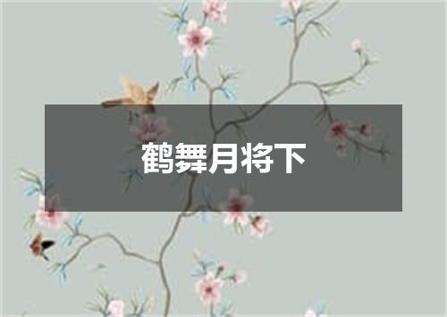鹤舞月将下