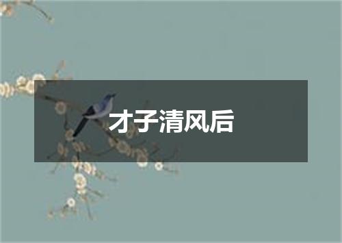 才子清风后