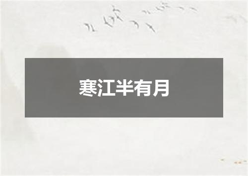 寒江半有月