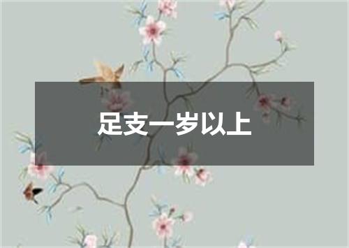 足支一岁以上