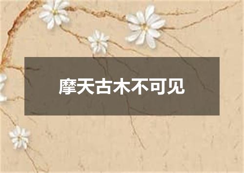 摩天古木不可见