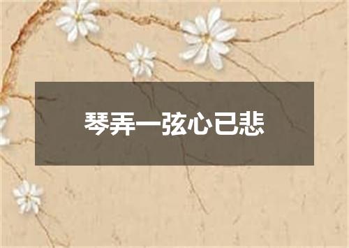 琴弄一弦心已悲