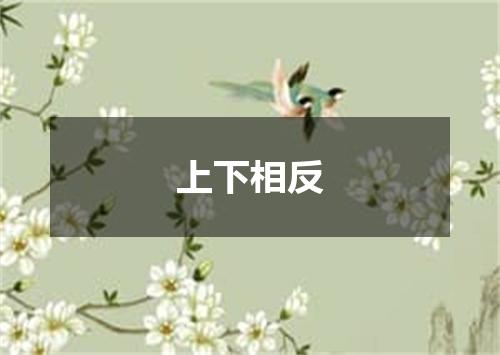 上下相反