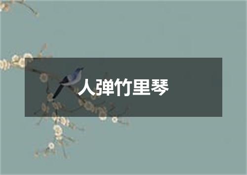 人弹竹里琴