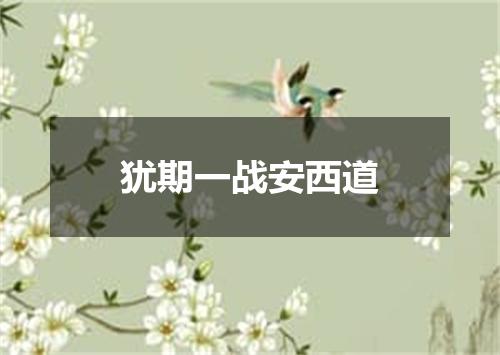 犹期一战安西道