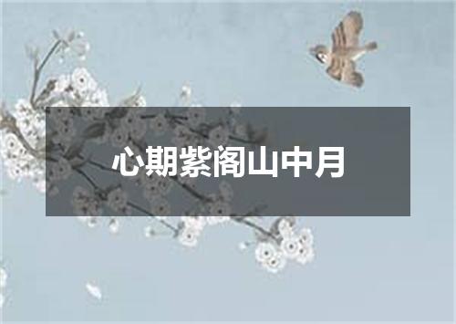 心期紫阁山中月