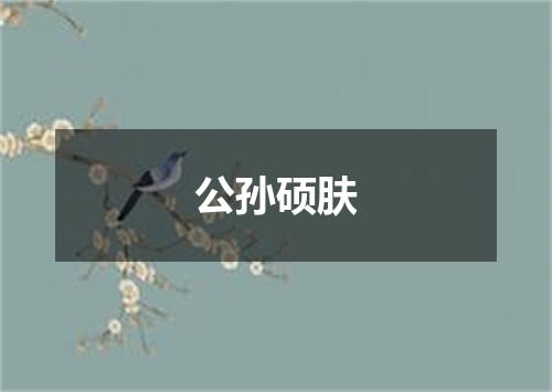 公孙硕肤
