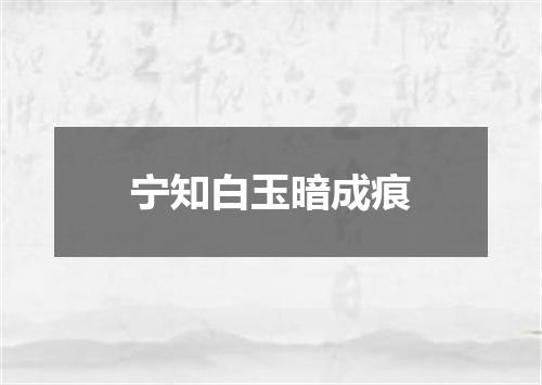 宁知白玉暗成痕