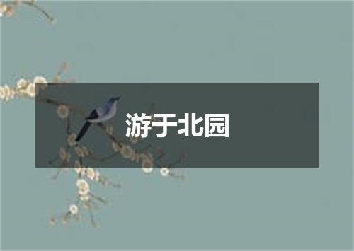 游于北园