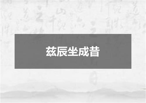 兹辰坐成昔