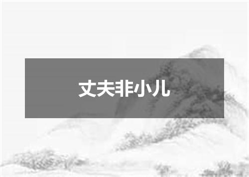 丈夫非小儿