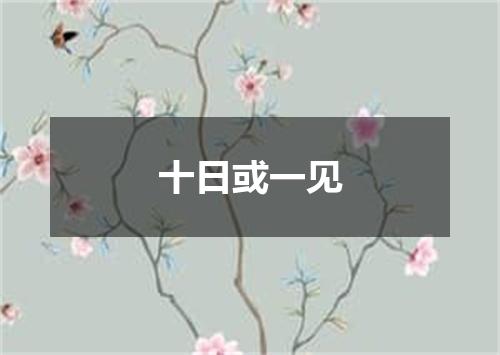 十日或一见