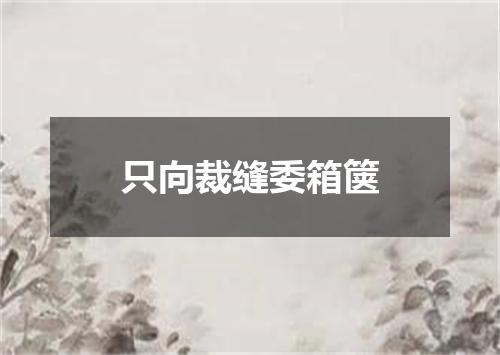 只向裁缝委箱箧