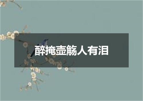 醉掩壶觞人有泪