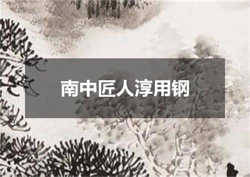 南中匠人淳用钢