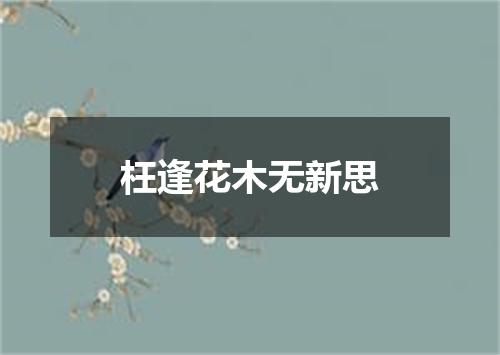 枉逢花木无新思