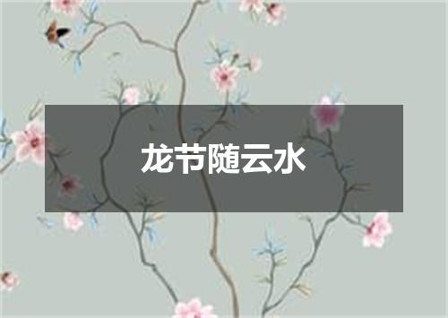 龙节随云水