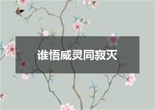 谁悟威灵同寂灭