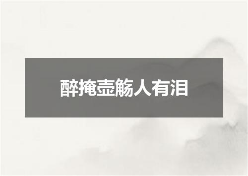 醉掩壶觞人有泪