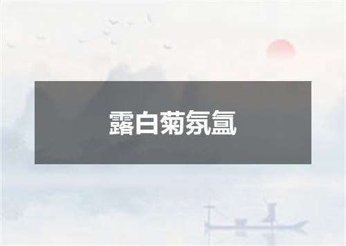 露白菊氛氲