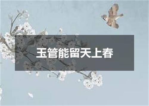 玉管能留天上春