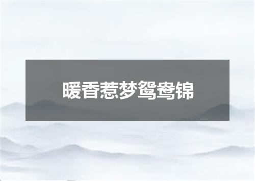 暖香惹梦鸳鸯锦