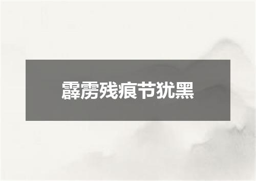 霹雳残痕节犹黑