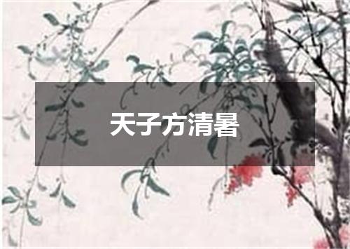 天子方清暑