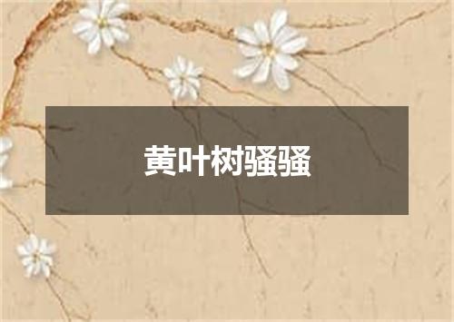 黄叶树骚骚