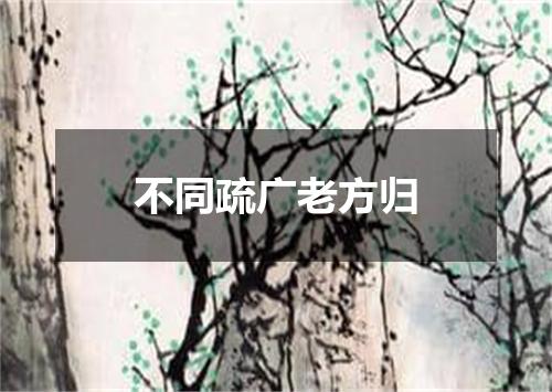 不同疏广老方归