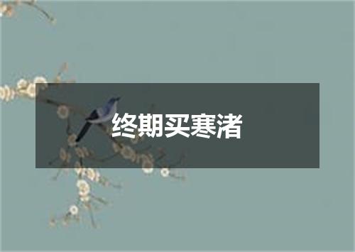 终期买寒渚