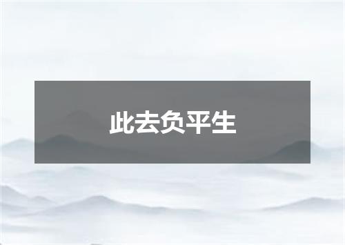 此去负平生