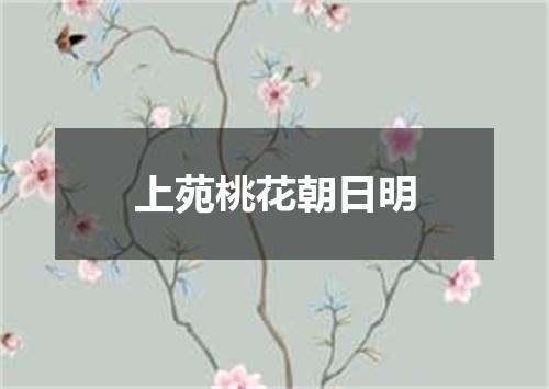 上苑桃花朝日明