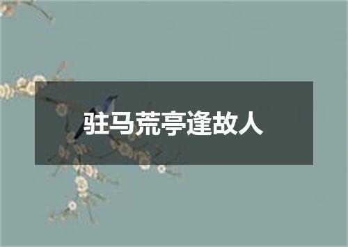 驻马荒亭逢故人