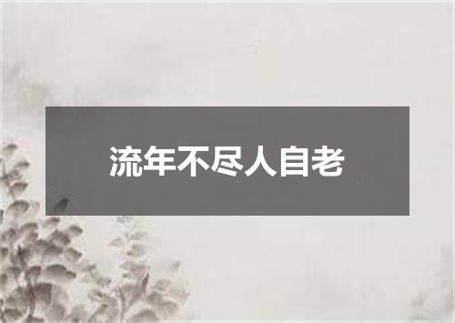 流年不尽人自老
