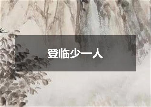 登临少一人