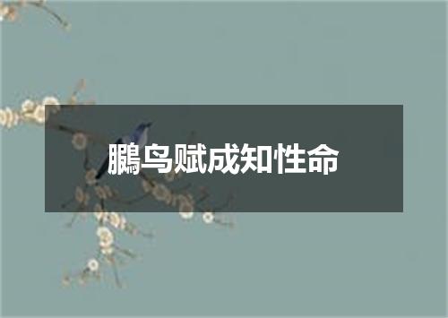 鵩鸟赋成知性命
