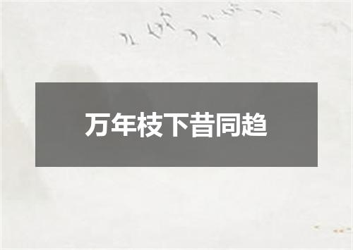 万年枝下昔同趋