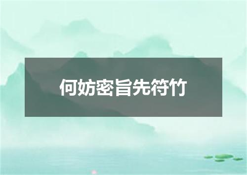 何妨密旨先符竹