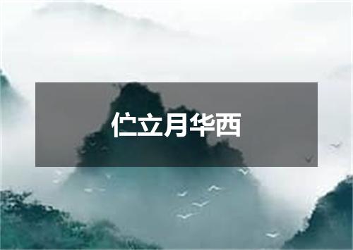 伫立月华西