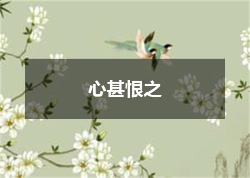 心甚恨之