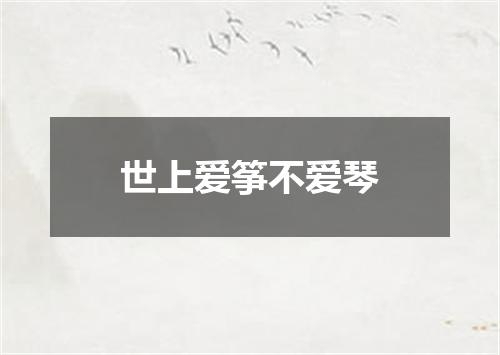 世上爱筝不爱琴