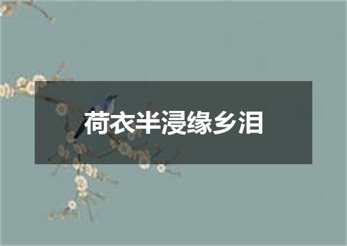 荷衣半浸缘乡泪