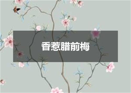 香惹腊前梅