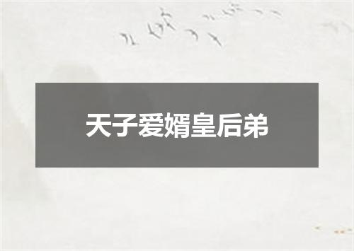 天子爱婿皇后弟